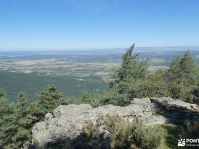 Pinares Navafría - Montes Carpetanos brújula pico del alba rutas senderismo la rioja rutas vall de n